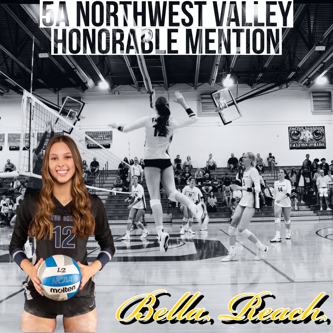 CSHSvolleyball tweet media