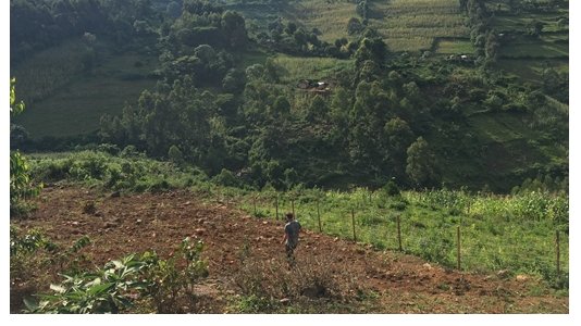 LancsUniLEC's tweet photo. 📽️ The power of African soils to mitigate climate change 📽️ film tells the story of @RestoreGrazing in Kenya. After the screening the researchers will be quizzed by local school students.
📅 16 Nov 16.30-18.00
📌 @LancasterUni
🎟️Book now: https://t.co/whxlYSAZXJ.
#ESRCFestival https://t.co/ar7EqWr34e