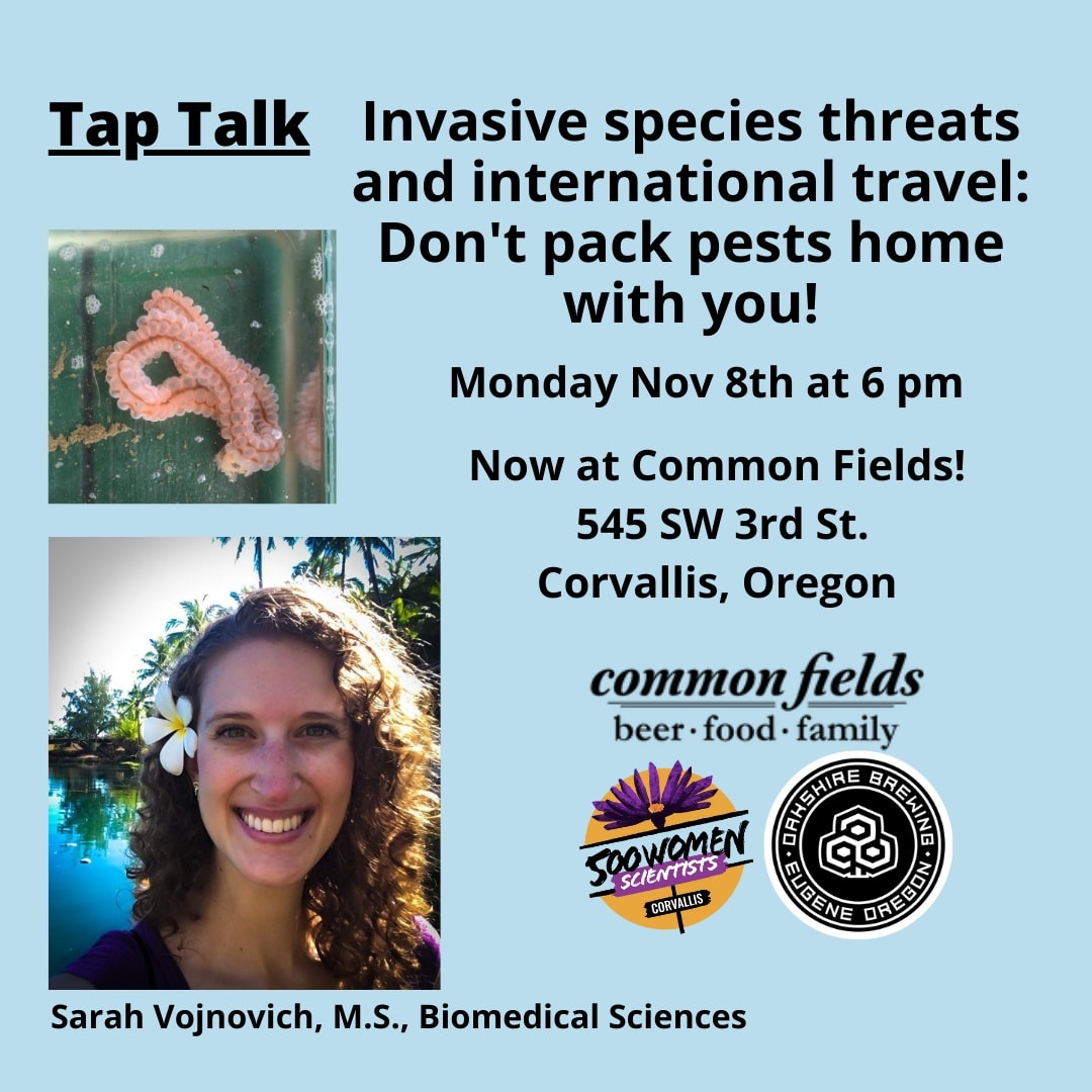 Tap Talks Corvallis tweet media