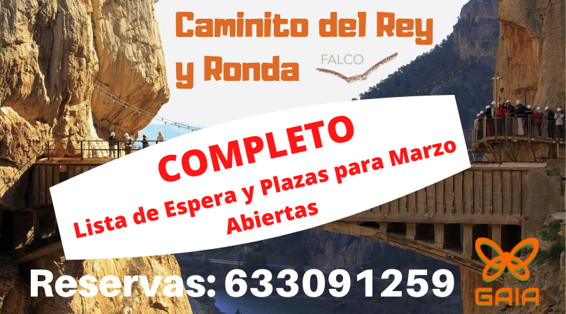 FalcoDesert's tweet photo. Completo #CaminitoDelRey &amp; #Ronda
Abrimos lista de espera y plazas marzo.
Información:
✅Centro GAIA #Petrer, Av Felipe V, 7 bajo
✅📞633091259  -  865281685
✅ https://t.co/uB3kBPnFbM 
#Falco #Gaia #ViajesEmocionales #Escapadas #Senderismo #CrecimientoPersonal https://t.co/87EKaCx7dY