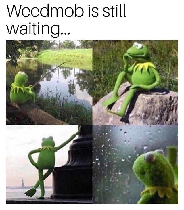 L. Tooth💚🥦💚 tweet media