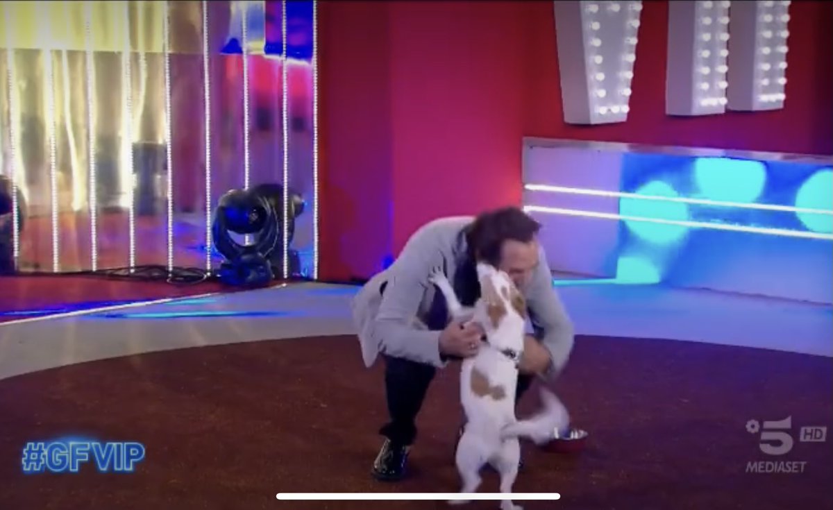 stefyorlando's tweet photo. Questo sì che è un momento vero #Giucas #GFvip PS: Giucas è stato invitato al mio matrimonio, il primo! https://t.co/CAHbiZ6ao9