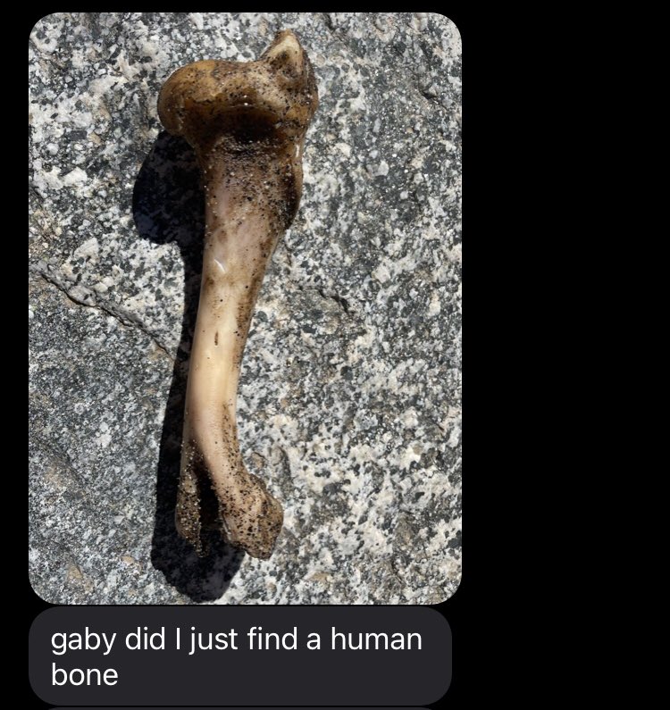 tittypatronus's tweet photo. this is the only genre of text i will accept from ANYONE from here on out https://t.co/iF62P25KQK