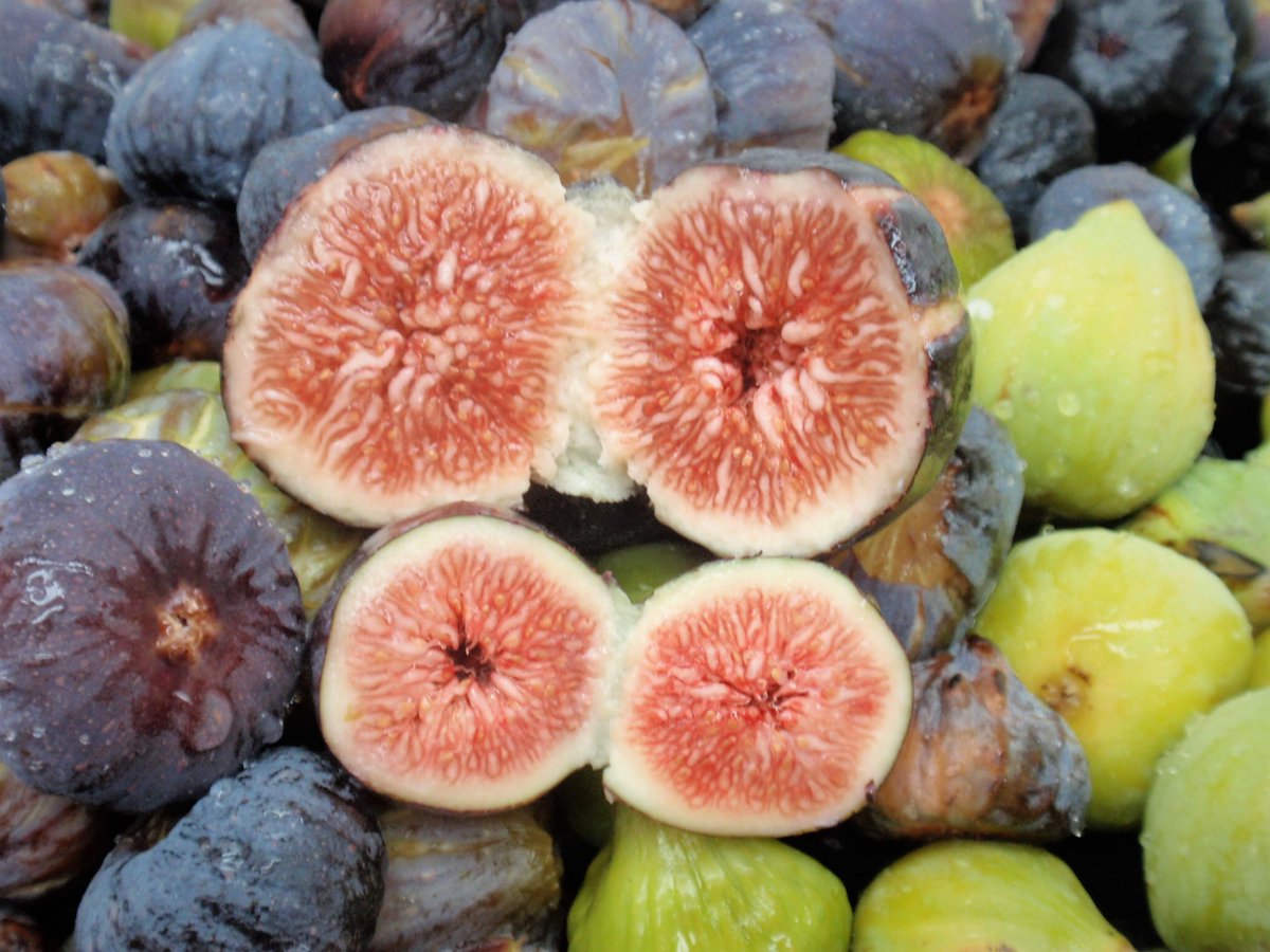 amorodo_eco's tweet photo. A MARMELADA DE FIGO de AMORODO é outra proba irrefutable de que na Galicia profunda é posible a felicidade. Un manxar natural, sen aditivos e con moitísimas posibilidades. 👩‍🍳👌

Ecolóxicas, saudables e de tempada. Así son as nosas "delicias profundas". 🌱🍓
#galiciaprofunda https://t.co/TsxdPr8FyM