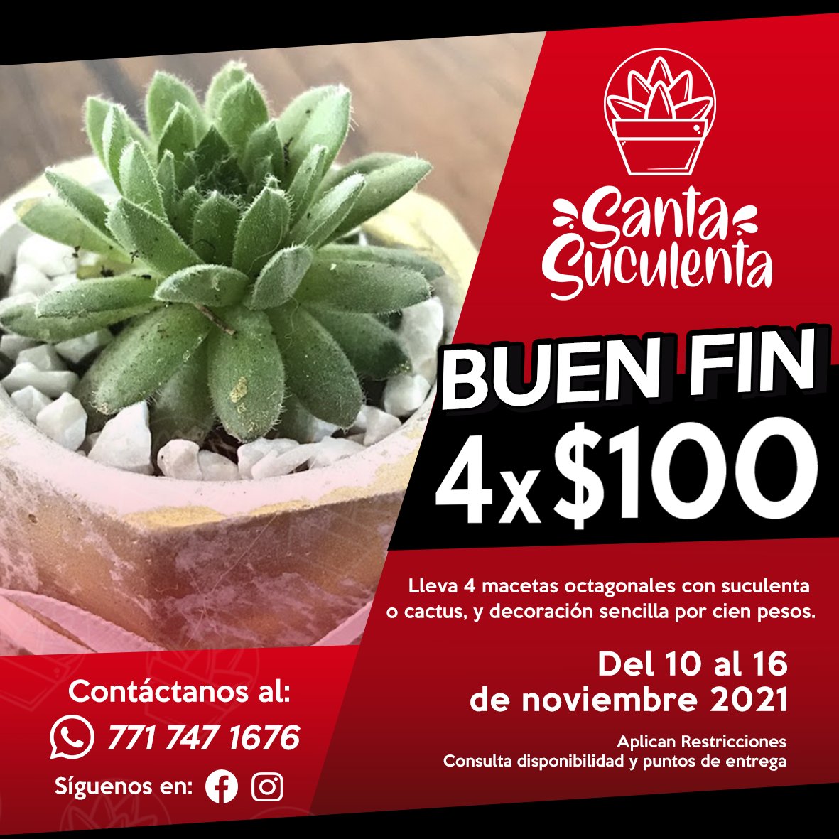 Santa Suculenta tweet media