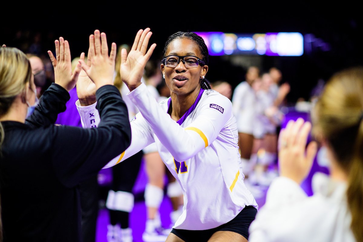 LSU Volleyball tweet media