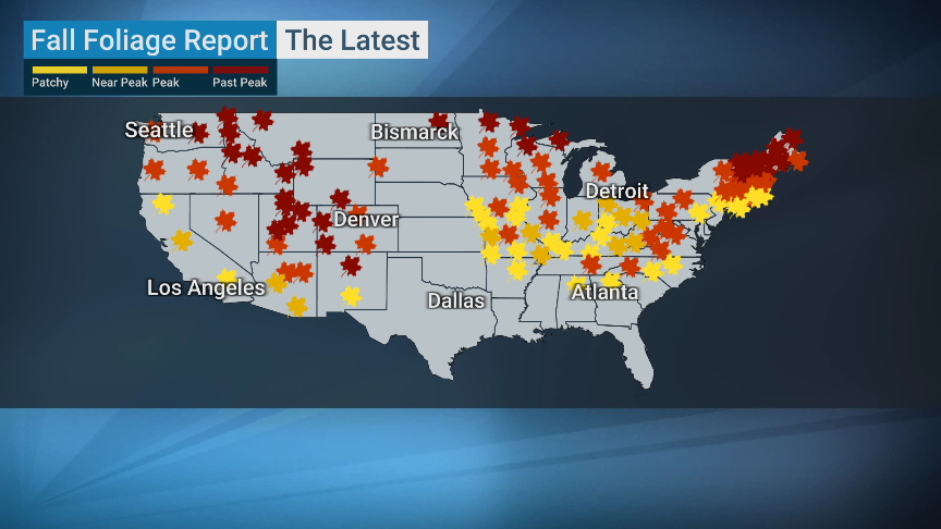 The Weather Channel tweet media