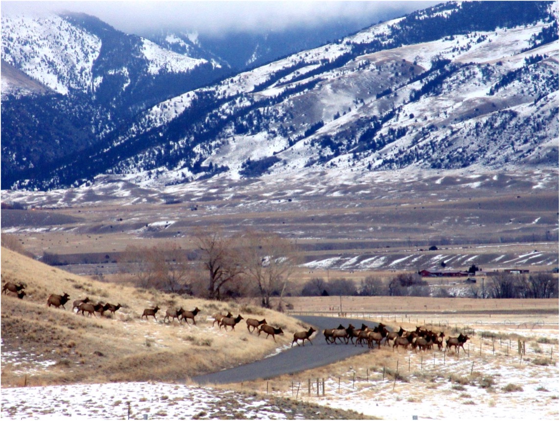 ARC Solutions tweet media