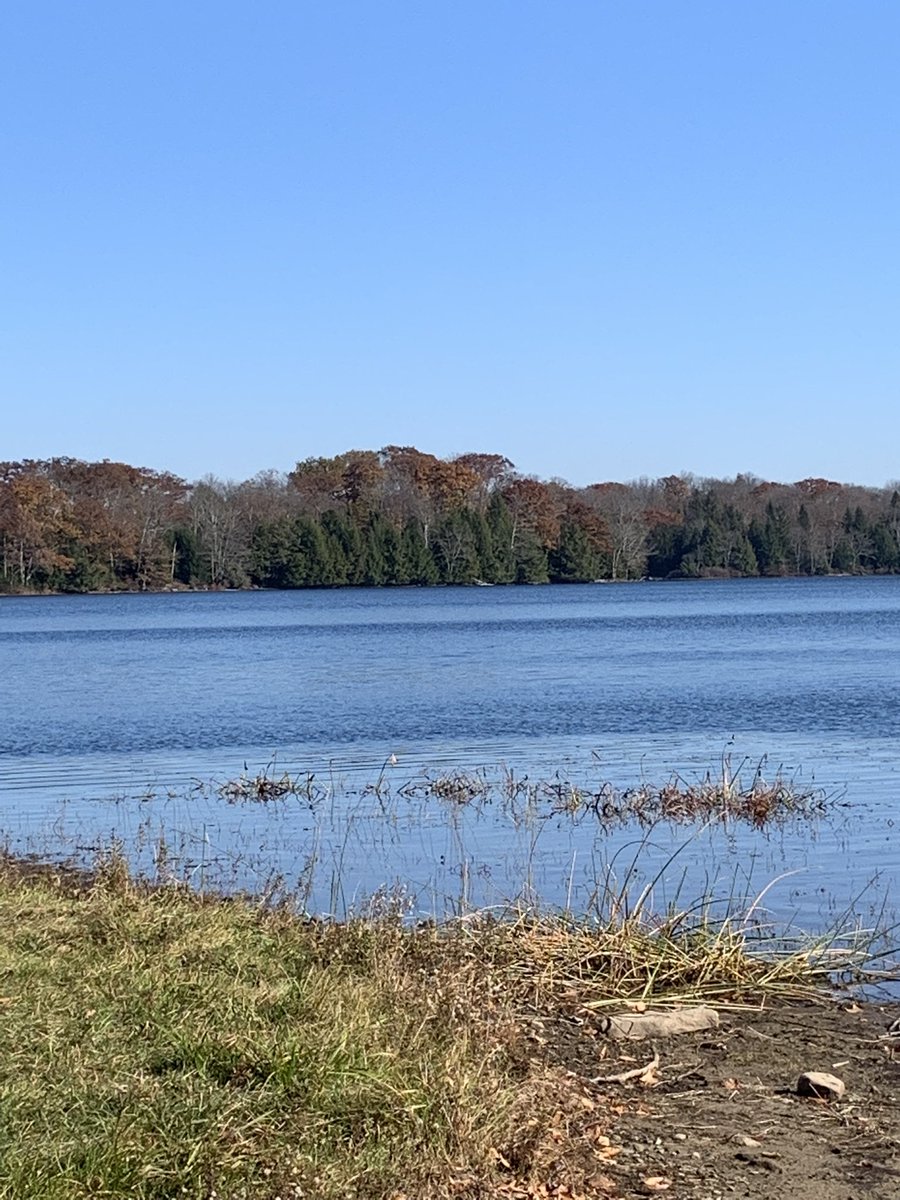 lamessino's tweet photo. Did some great trail hiking in my neighborhood. @PaStateParks @JohnWNEP @Sami_WBRE_WYOU #PoconoMountains #NEPA #PROMISEDLANDSTATEPARK #TheHamlet https://t.co/0GU5kKGFcn