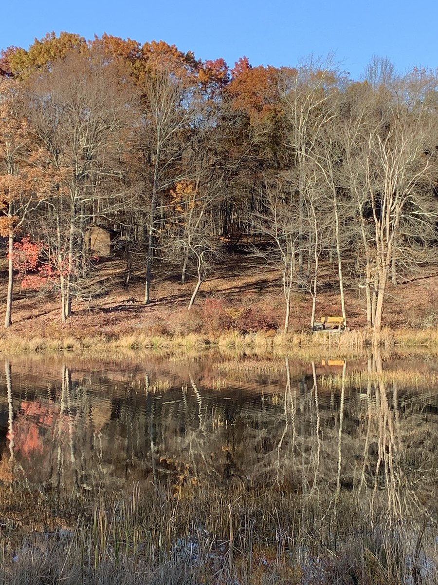 lamessino's tweet photo. Did some great trail hiking in my neighborhood. @PaStateParks @JohnWNEP @Sami_WBRE_WYOU #PoconoMountains #NEPA #PROMISEDLANDSTATEPARK #TheHamlet https://t.co/0GU5kKGFcn