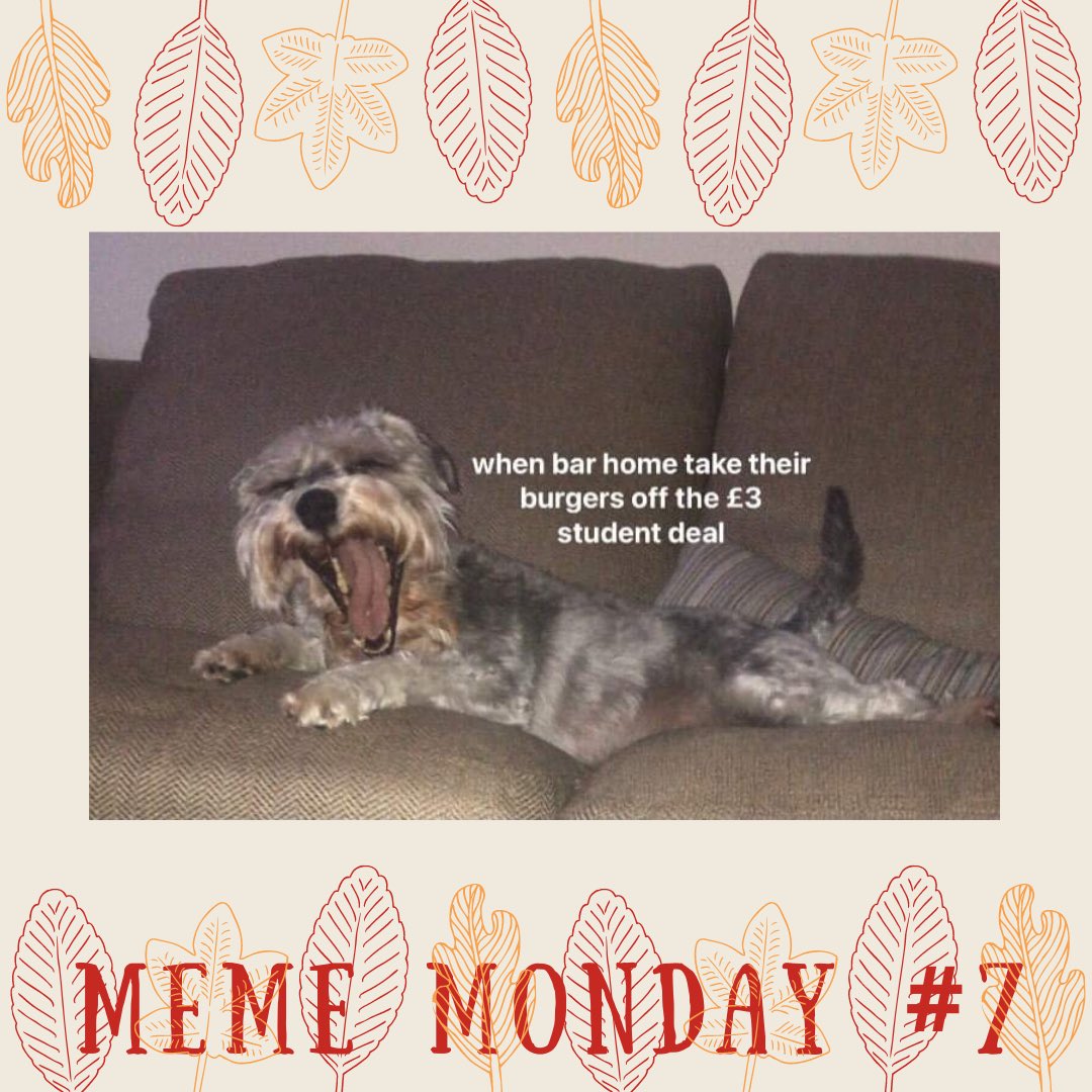 ReActStrathUni's tweet photo. real pushy stage mother vibes from me with how many of this week’s meme templates Boo features in, but I know you all love it🐶 https://t.co/znauOEp73P