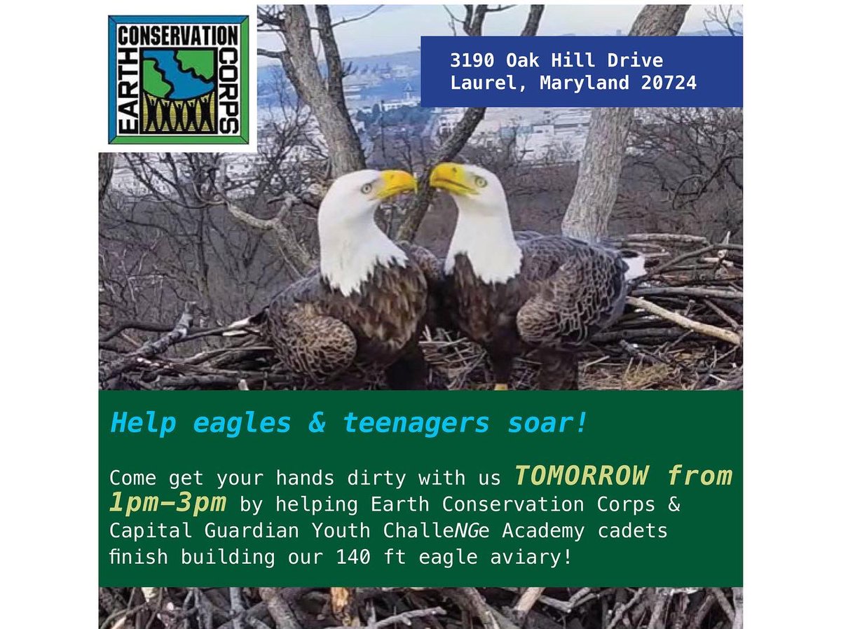 EarthCC's tweet image. Interested in getting your hands dirty? Come join us TOMORROW from 1-3pm @ 3190 Oak Hill Drive &amp;amp; help us finish building our eagle aviary with Capital Guardian cadets! To see full details, check out our most recent post on Instagram! 
#birdsofprey #raptorconservation #CGYCA
