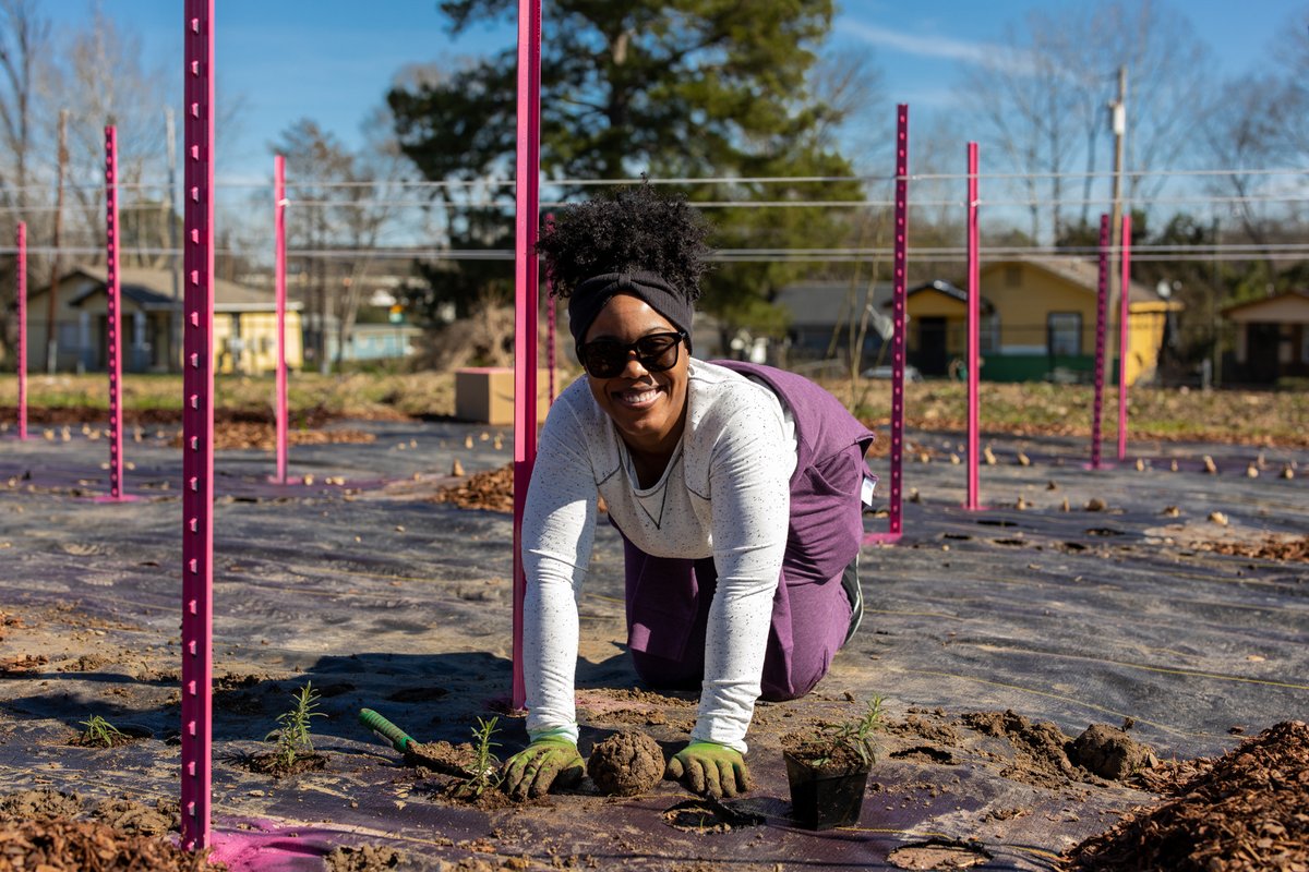 Can creative interventions like art installations and re-designed gardens lead to a future of healthier eating? #PublicArtChallenge winner <a href="/CityOfJxnMS/">City of Jackson Mississippi</a> is empowering the community to reimagine a more equitable food future through <a href="/_fertileground_/">fertileground</a>: bloombg.org/3BXBGET