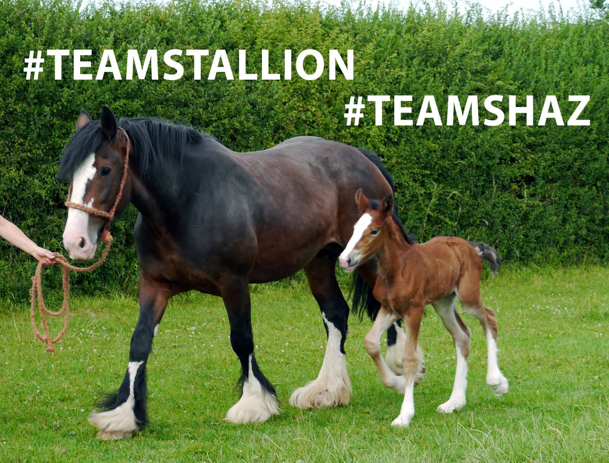 🏁F R I E N D S🏁
#TEAMSTALLION🐎
#TeamShaz♥️
🌠<a href="/TeamShaz1/">IShaz</a>
🌠<a href="/iTeamShaz/">Follow #TeamShaz</a>
🌠<a href="/MarEthr/">👉 Mark 28K 😜👇</a>
🌠<a href="/ginestarros/">SuperGina♥️💚♥️</a>
🌠@lovecelticwoman
🌠<a href="/italianostyle2/">Frankie D....TEAMSTALLION</a>
🌠<a href="/lumpie125/">lumpie125</a>
🌠<a href="/GraphicDeziner5/">GrafixDesigner</a>
🌠<a href="/Vazkko/">Jorge</a>
🌠<a href="/Therealroland02/">The RAPTOR02,#1DDrive,#TEAMSTALLION</a>
🌠@luisalarosa
🌠<a href="/ginaaaa345/">SuperGina ┈•♥️💚♥️•┈</a>
🌠<a href="/RAMSCESH/">Raul: חברו של יהוה</a>
🌠<a href="/AbidinBoryta/">🕋𝓐𝓫𝓲𝓭𝓲𝓷 𝓑𝓸𝓻𝔂𝓽𝓪 🇮🇩</a>
🌠<a href="/Aluddin19/">Aluddin19</a>
🌠<a href="/Sonia_logos/">Sonia Art</a>