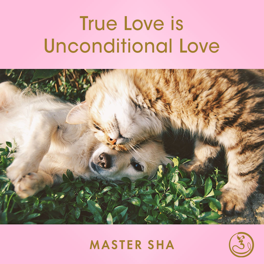 drandmastersha8's tweet image. "True love is unconditional love" - Master Sha

#lovequotes #wisewords #quotesoftheday