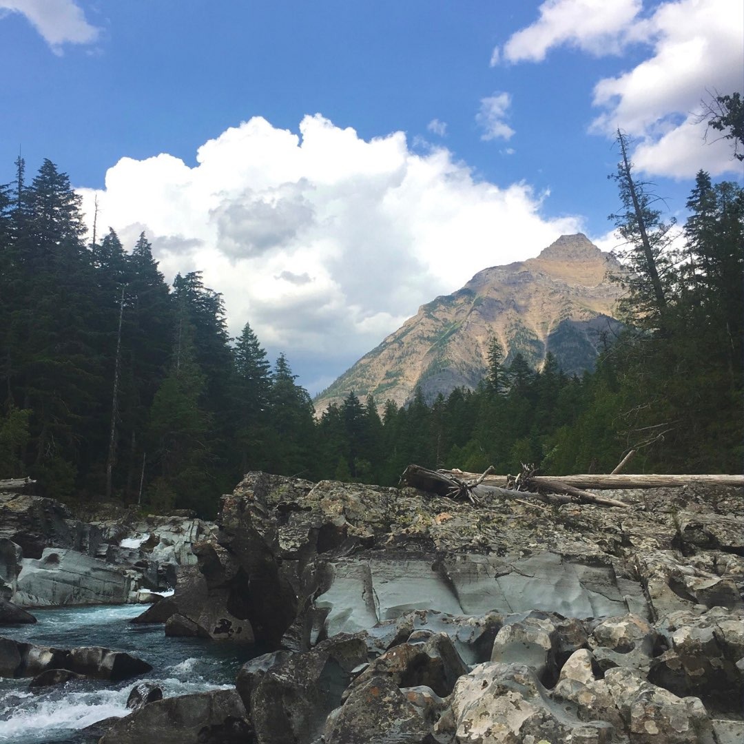 MTvoters's tweet photo. Is it a coincidence that just 15 days after Montana became a state, the first jukebox goes into operation? We think not. Get outside and celebrate Montana, our pretty state has been rocking and rolling for 132 years!
Happy birthday to our Big Sky State!
#HBDMT #KeepItPublic https://t.co/4UU7e9g9UH