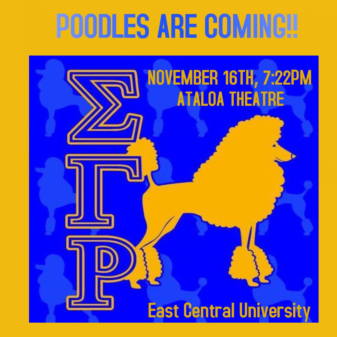 POODLES ARE COMING!!! 🐩💛💙