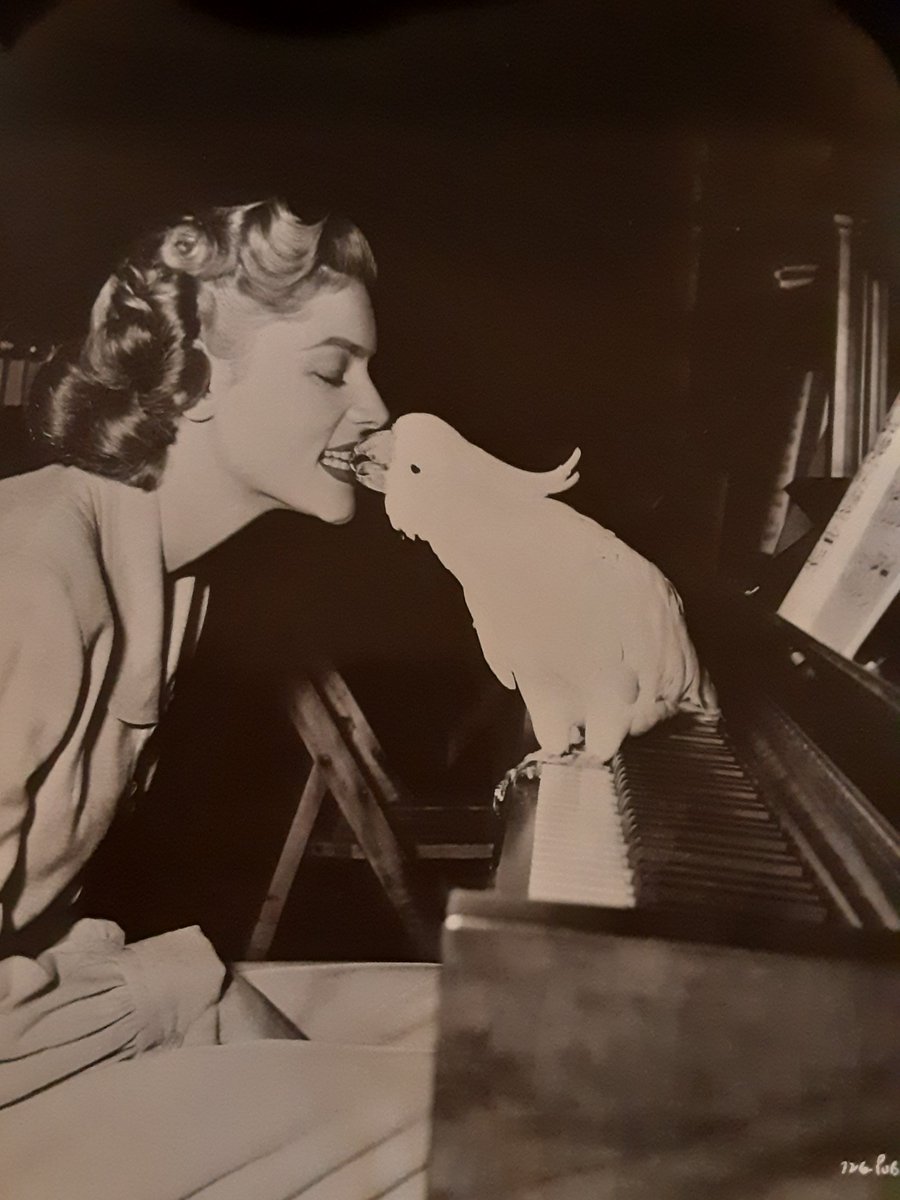 CrystalFinds's tweet photo. The last of this week's #MondayMailbox featuring Lauren Bacall https://t.co/HjTAFDGSLl