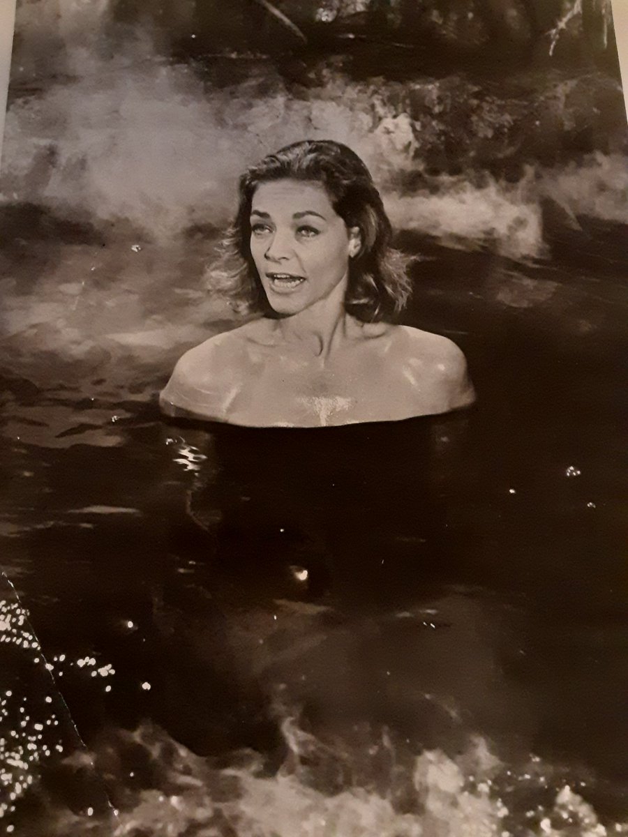 CrystalFinds's tweet photo. The last of this week's #MondayMailbox featuring Lauren Bacall https://t.co/HjTAFDGSLl