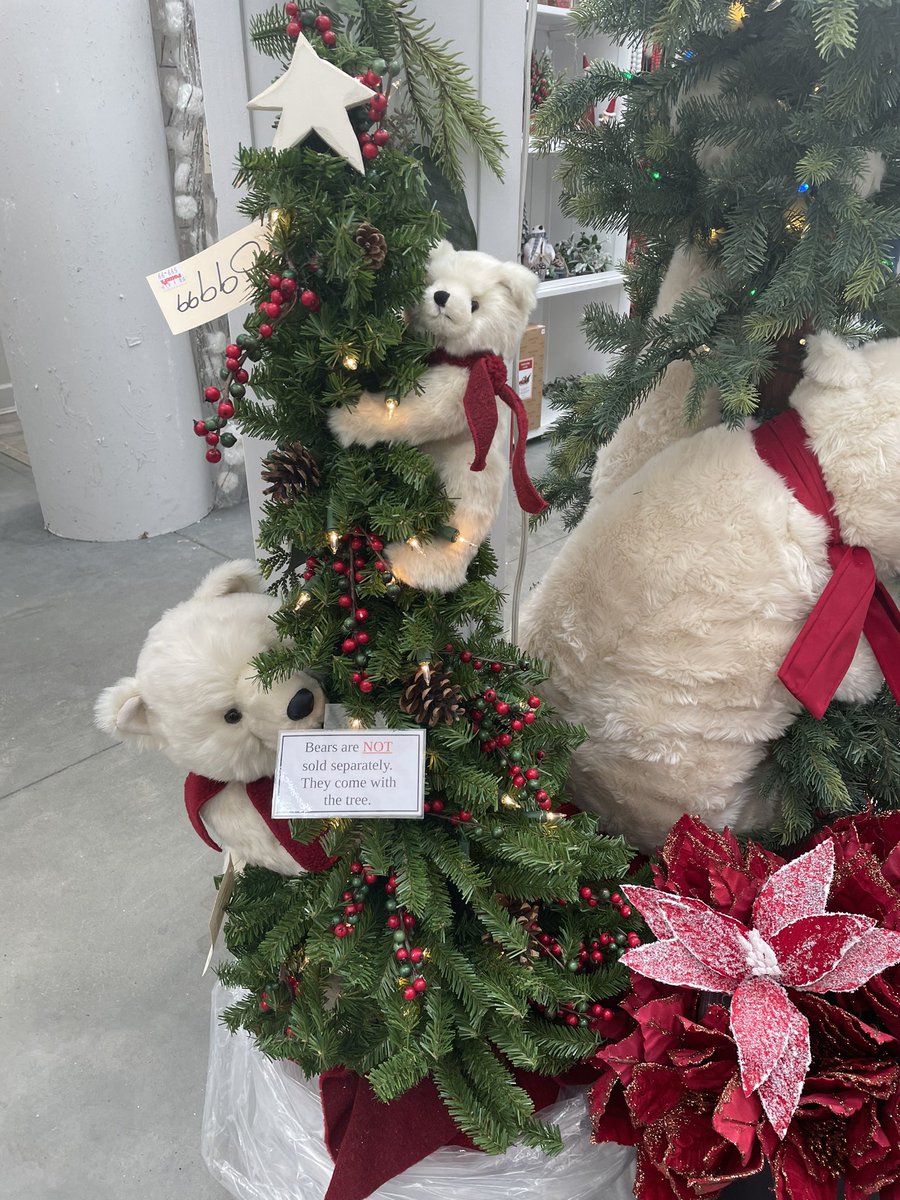 AmandaWawryk's tweet photo. Checked out #Potters Nursery today with @SarahRoseWords and oh my. Christmas overload. #WorkAdventures 🎅🏽🤶🎄 https://t.co/MjqvGxJ0GC