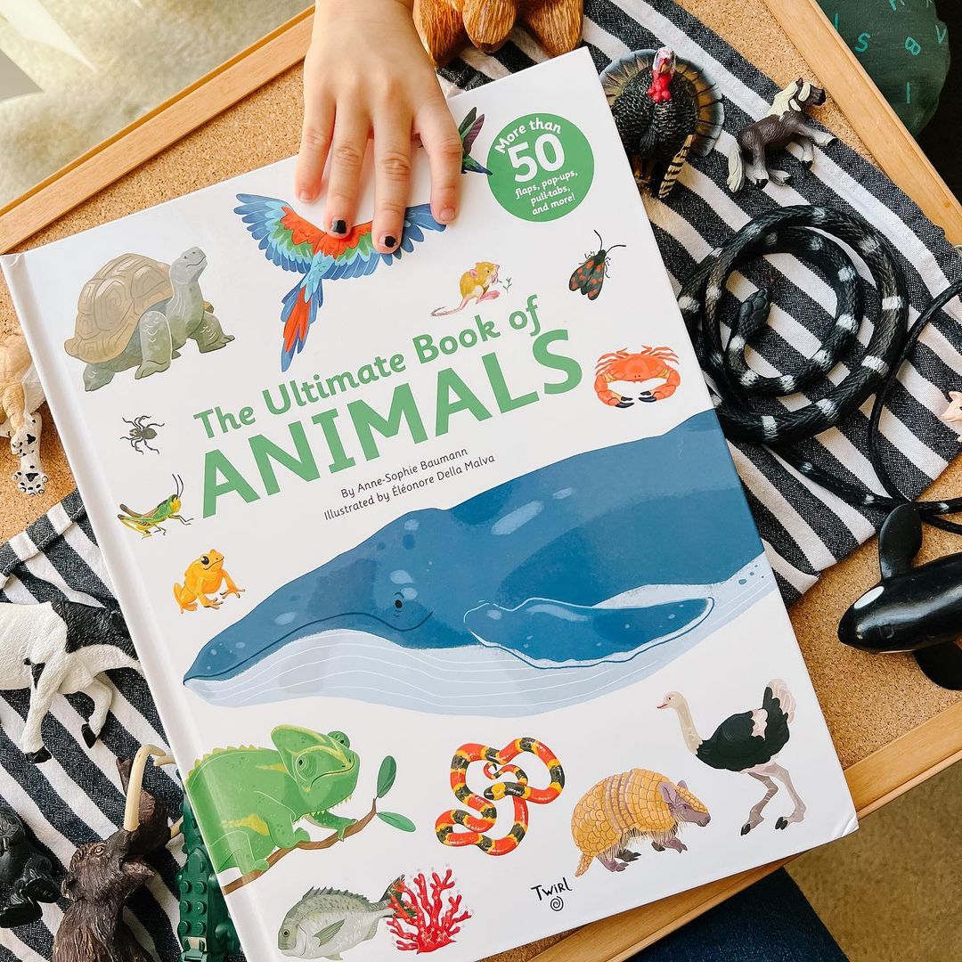 Chronicle Kids (@chroniclekids) on Twitter photo "An instant hit at our house. Easy to share and enjoy with each of my four kids that range in age from 3-10."—<a href="/keepabookout/">Keepabookout</a> 🐋🐢🐦🐙
#TheUltimateBookofAnimals is available now everywhere books are sold! ow.ly/Efbc50GHveM
📷: <a href="/keepabookout/">Keepabookout</a> "An instant hit at our house. Easy to share and enjoy with each of my four kids that range in age from 3-10."—<a href="/keepabookout/">Keepabookout</a> 🐋🐢🐦🐙
#TheUltimateBookofAnimals is available now everywhere books are sold! ow.ly/Efbc50GHveM
📷: <a href="/keepabookout/">Keepabookout</a>