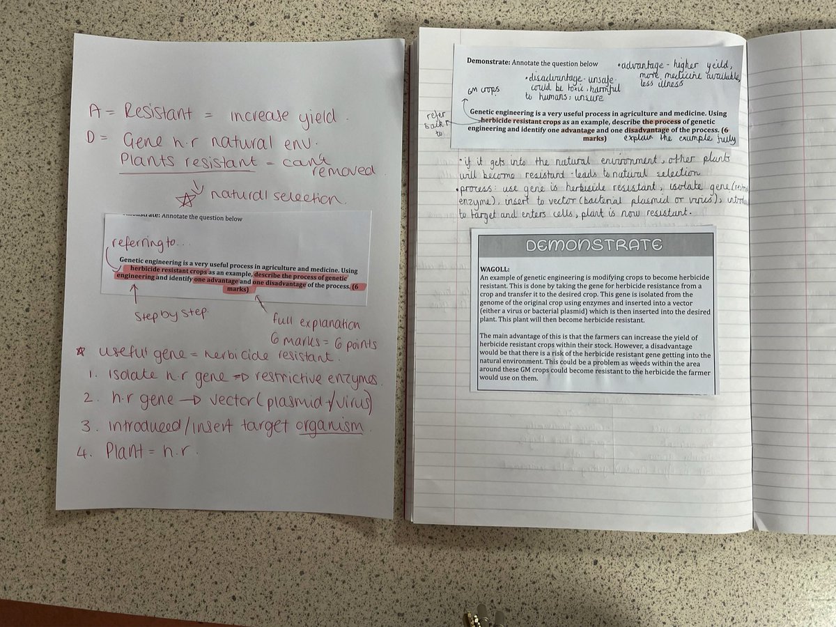 MissPooleRBHS's tweet photo. Day 1 of using the visualiser was with my Year 11 Biology class. We deconstructed a 6 mark genetic engineering question and identified the key points that should be included in their answer before comparing those to the WAGOLL. Here are my notes and Shivani A’s work 👏🏼🤩 https://t.co/L6V6Km6xhR