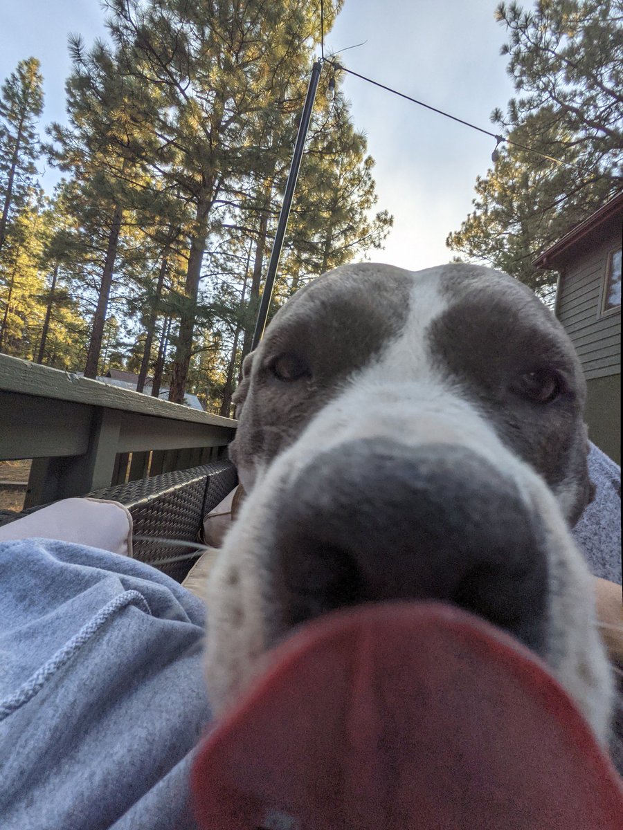 LordBelleck's tweet photo. @ashhhhhhole gm and may my slobber heal you https://t.co/aOqRgO2ssw