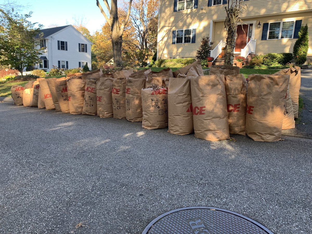 BoomerWBZTV's tweet photo. Worst chore ever😩 #SundayFunday #NEFall🍂🍁🍃 https://t.co/BOY4jSeoyH