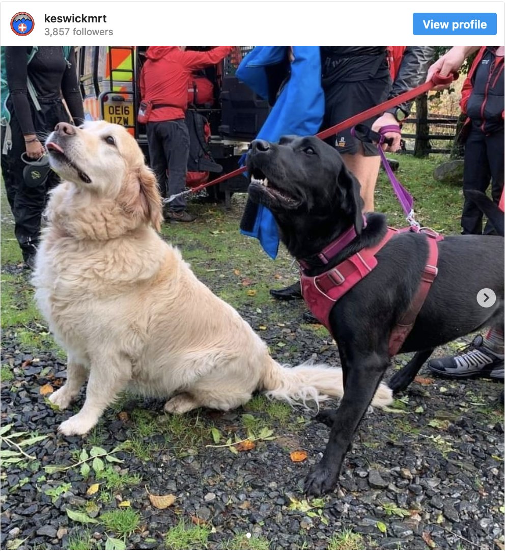 VickyWestmore's tweet photo. When a 71-year-old man collapsed in the Lake District, one of his dogs went to get help, while the other dog stayed by his side. The black lab chased down a woman who’d earlier walked by and got her to follow. She then phoned for help. Dogs are the absolute best. https://t.co/jJpj28xMcH