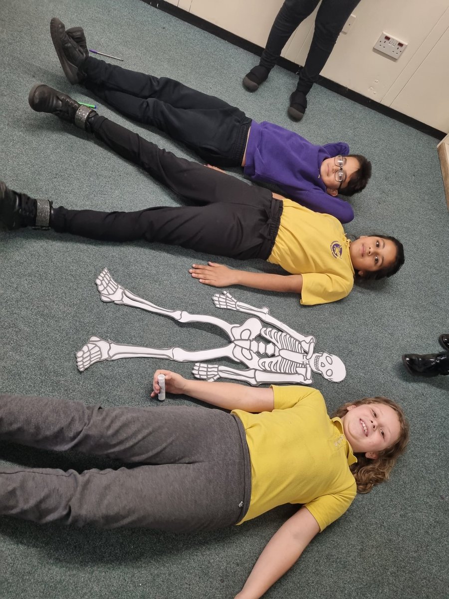 MissEdwardsLHS's tweet photo. Oak class learnt all about the human skeleton today! @HeadLHS @LHS_Watford @MissDosSantos1 @BBlackstaffe @MissBurrellLHS @MissBanksLHS https://t.co/roRsEG8vz7