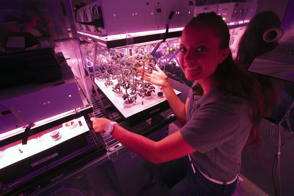 Former student intern Ayla Grandpre, a computer science and chemistry major at Rocky Mountain College in Billings, Montana, working on plant growth research at NASA’s Kennedy Space Center in Florida.
