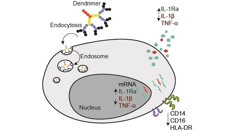 Angewandte Chemie tweet media