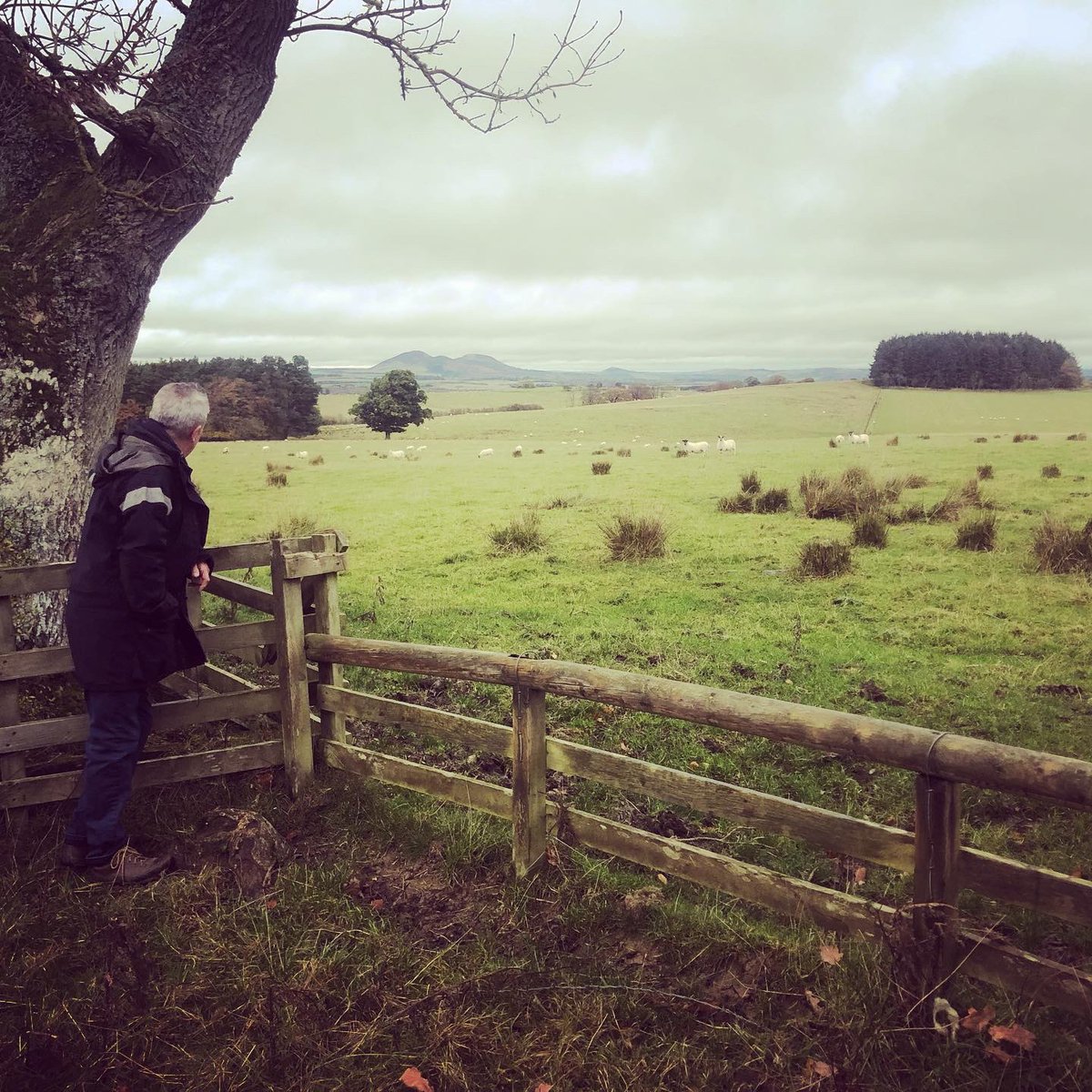 oddbodiesarts's tweet photo. We are in Scotland! Beautiful colours everywhere. #onemanKingLear on tomorrow @macartscentre #whatsongalashiels Wednesday at @DfsTheatreRoyal #whatsondumfries then back down to #Manchester for @WatersideArts #touringshakespeare #whatsonmanchester https://t.co/LweYOdCcez