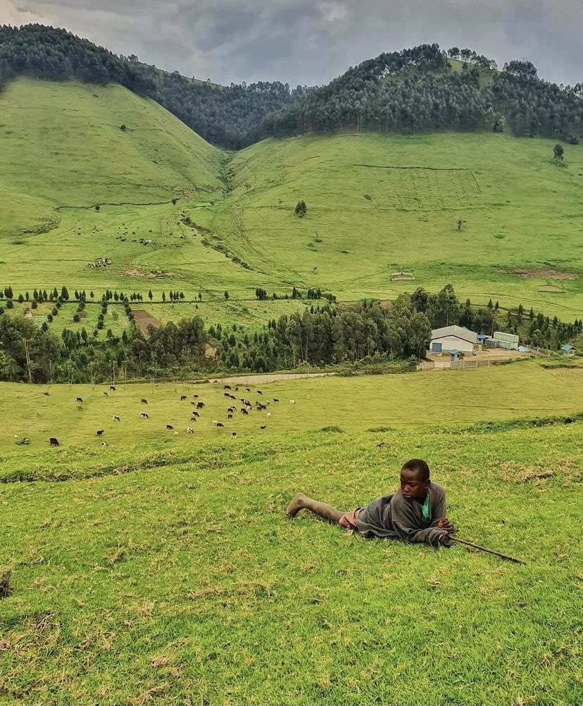 CONGO TRAVEL DRC tweet media