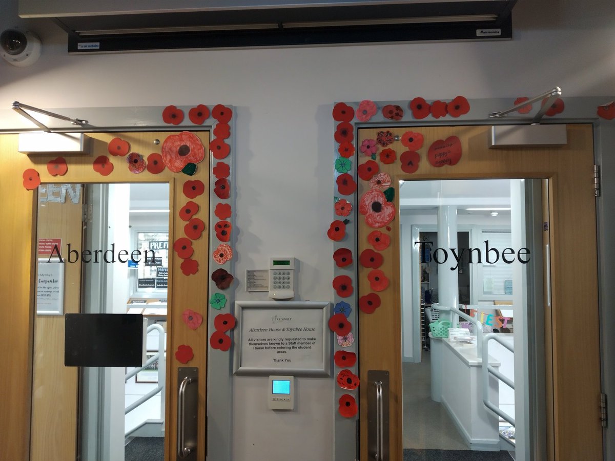 ToynbeeH's tweet photo. In EP today @ToynbeeH  and @Aberdeen_House1  made some poppies to brighten up our foyer https://t.co/yzdrBenrMe