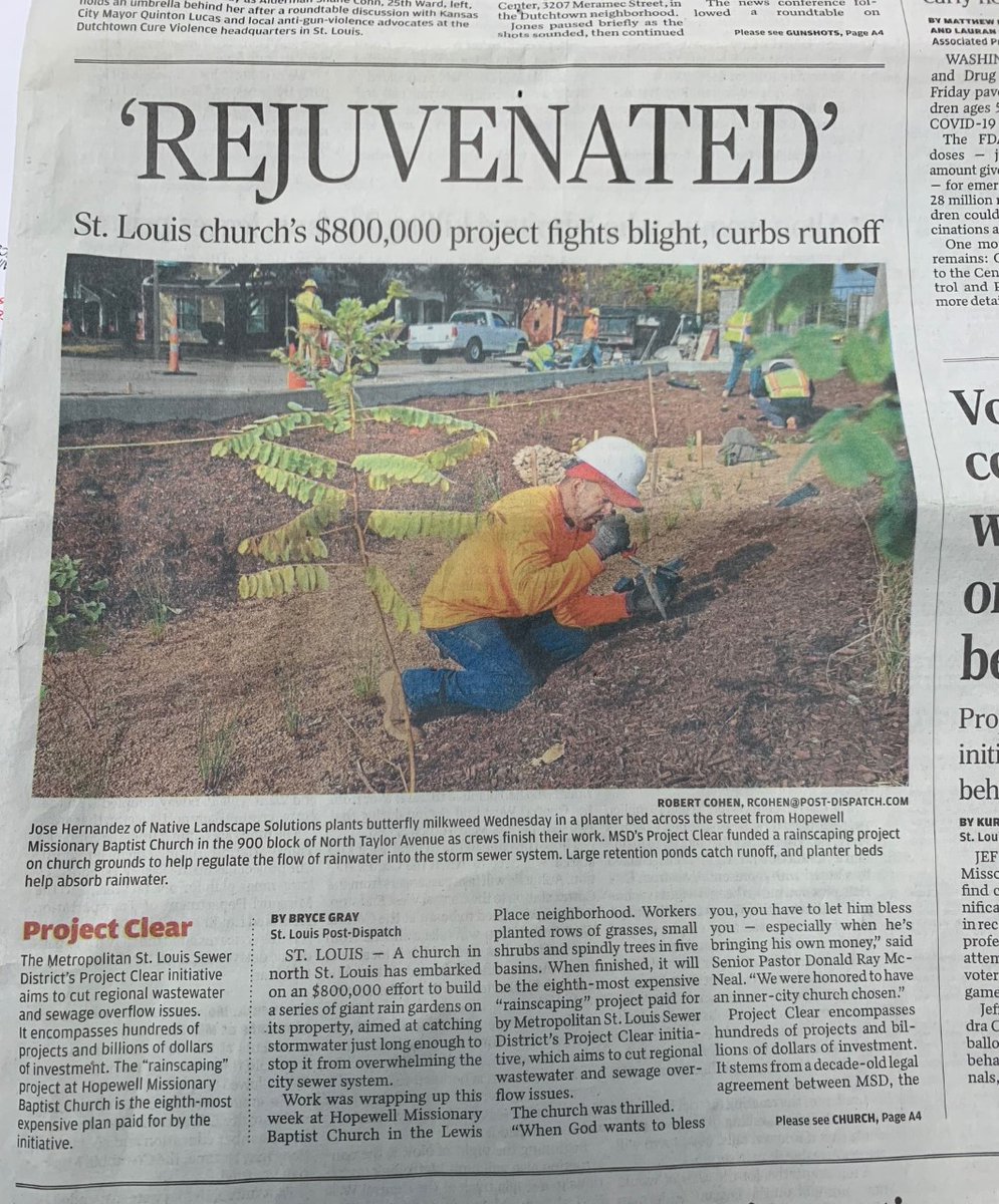 NLSLandscapeStl's tweet photo. Look who made the paper. We are proud to be working at Hopewell Missionary Baptist Church on a rainscaping project thanks in part to @MSDProjectClear #rainscaping #nativelandscaping #NLSlandscape #STL #enjoyoutside

https://t.co/8WpOsVpqOS https://t.co/SV8CpVzsLU