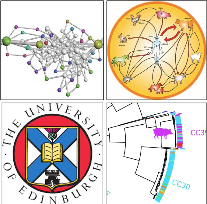 Ross Fitzgerald tweet media