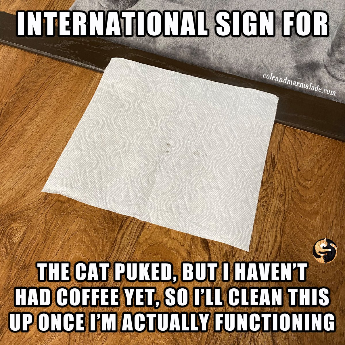 Cole & Marmalade tweet media