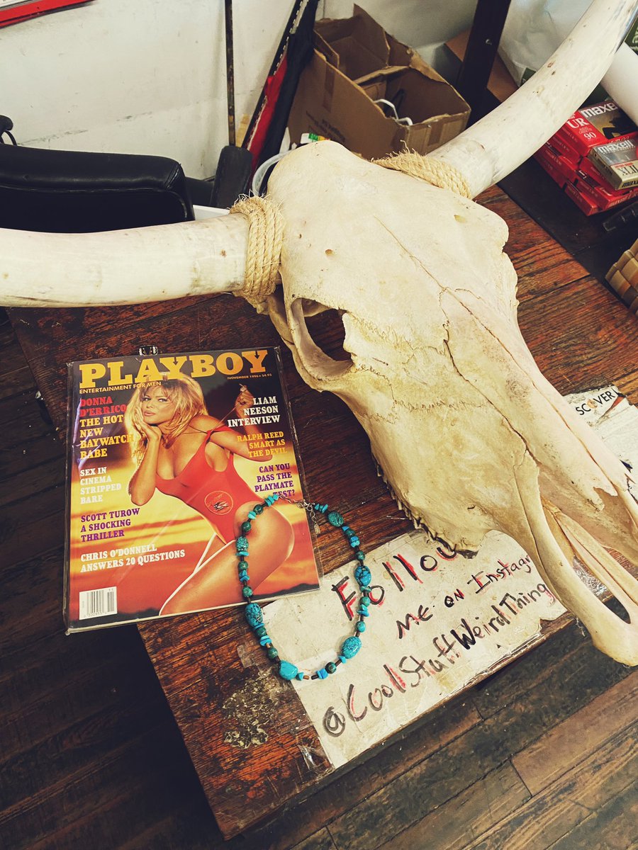 beejuuh's tweet photo. Nashville, Tennessee https://t.co/1TC3Rzxpez