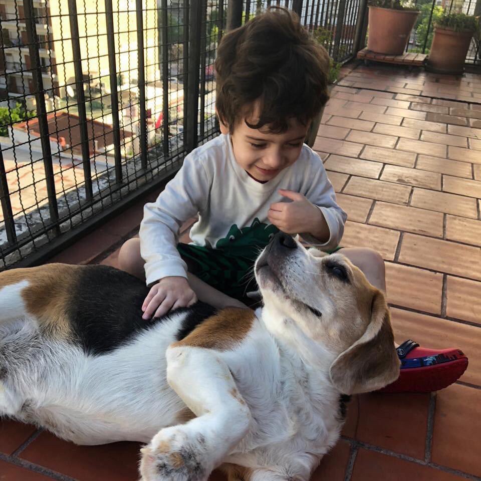 La vida nos pone a prueba constantemente, y en este momento nuestro perrito guardián y peluche de nuestro niño,  Poli, se encuentra luchando contra una falla renal aguda. 
Es por eso que salgo a desprenderme de aquellas pertenencias, para costear su internación. Si sos XL/XXL,