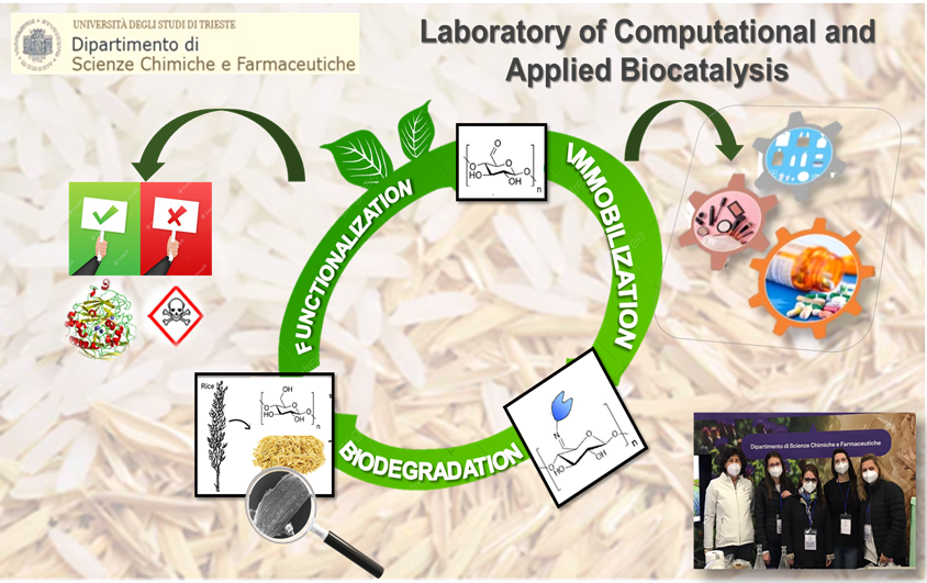 gardossigroup's tweet photo. It's online in the website of @UniTrieste  the contribution  "PhD Top Stories" of our PhD student Mariachiara Spennato "Turning biomass into functional composite materials: rice husk for fully renewable immobilized biocatalysts" @mariachiaraspe 
https://t.co/wbqmX3iSO5 https://t.co/3l8oRN1kQz