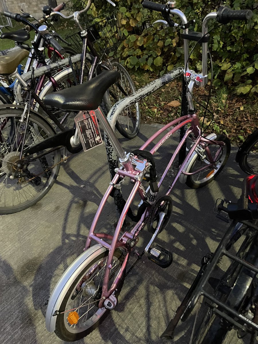 SerenaNikZainal's tweet photo. I have #BikeEnvy 💖
#PinkPedals https://t.co/Kqci8kF89k