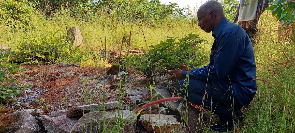 PremuimSow's tweet photo. M.@bahourykigna SE RECUEILLE SUR LA TOMBE D’UN RÉSISTANT À LA CONQUÊTE COLONIALE DANS LES ÎLES DE LOOS
Des vues du célèbre pénitencier de l’île de Fotoba aux larges de Conakry. Hier à Fotoba dans les Îles de Loos ce fut l'occasion de se recueuillir sur la tombe du Waliou de Gomba https://t.co/CB0OXzfY4i