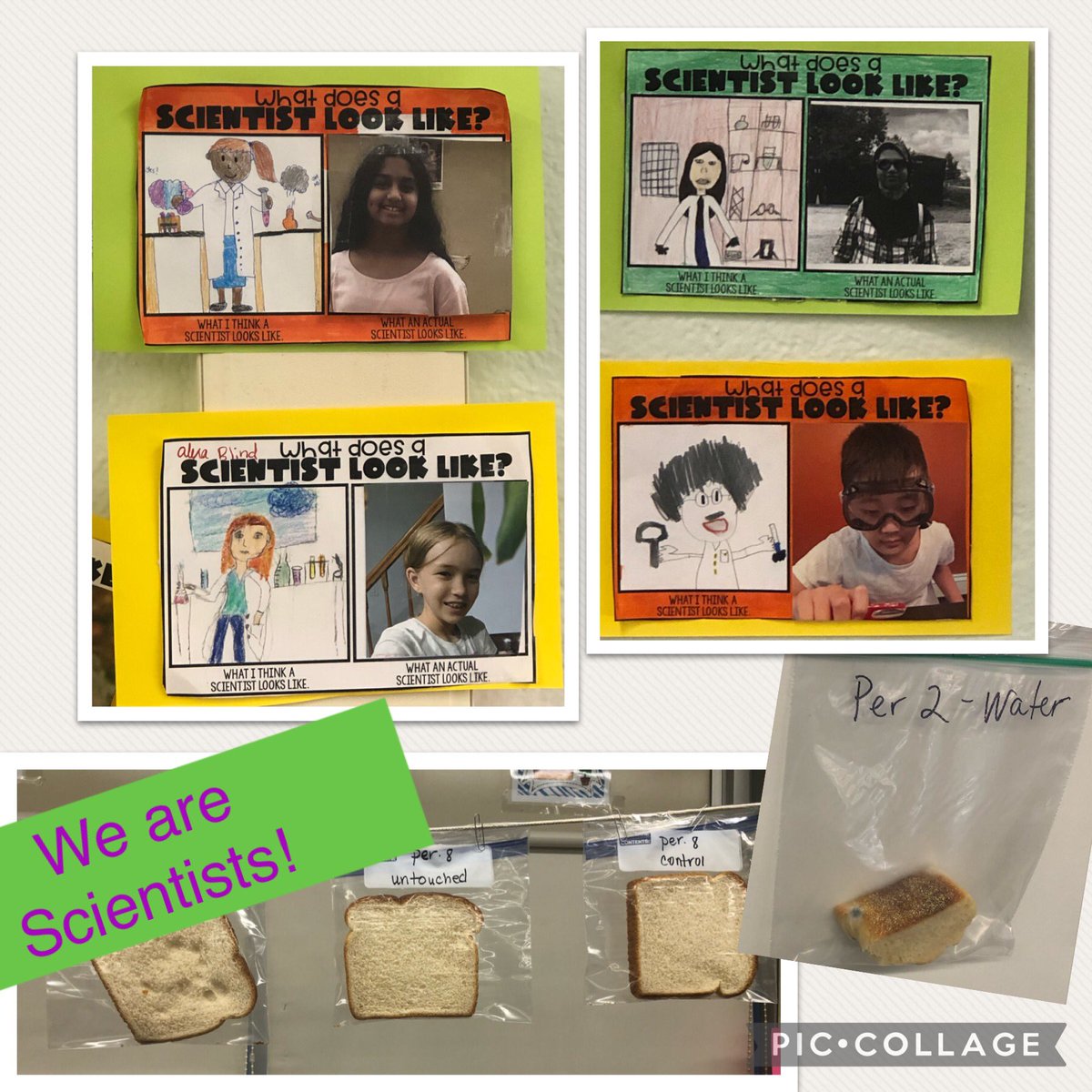 Crystal Mello tweet media