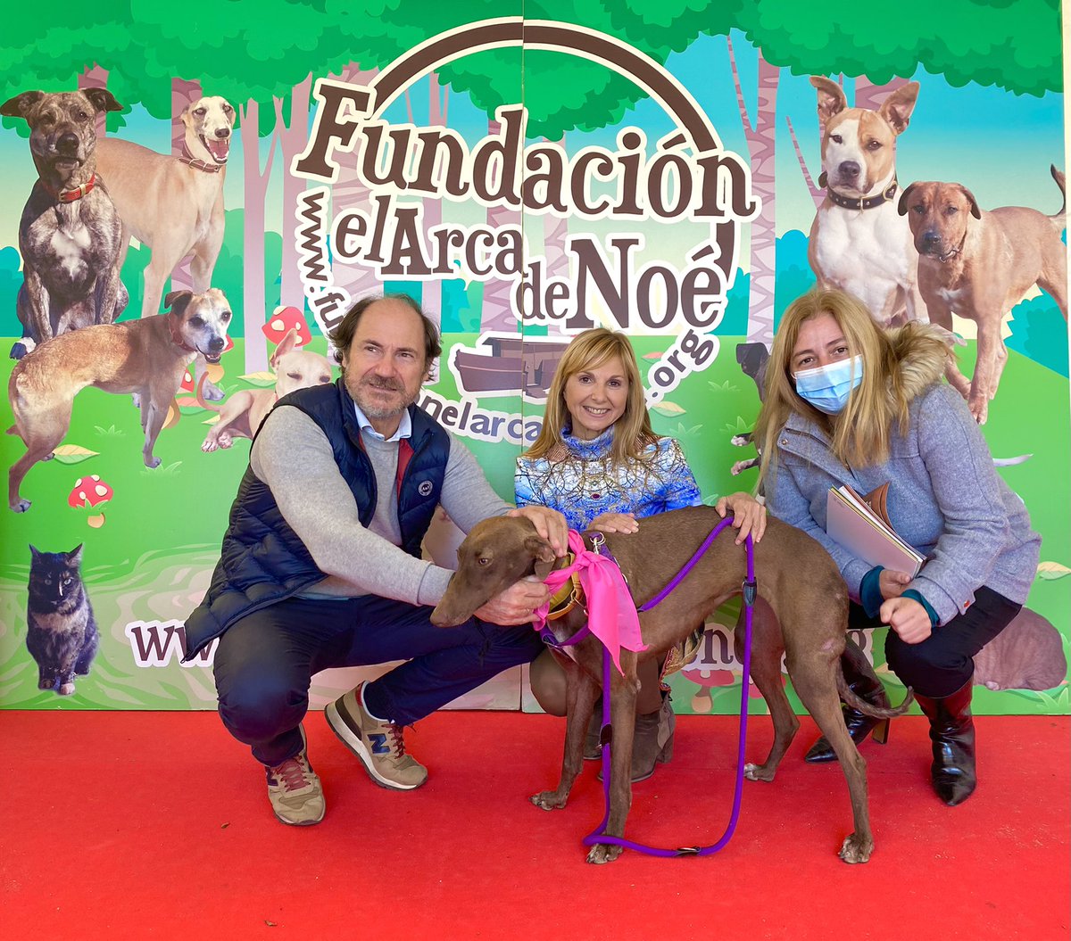 Fundación el Arca de Noé tweet media