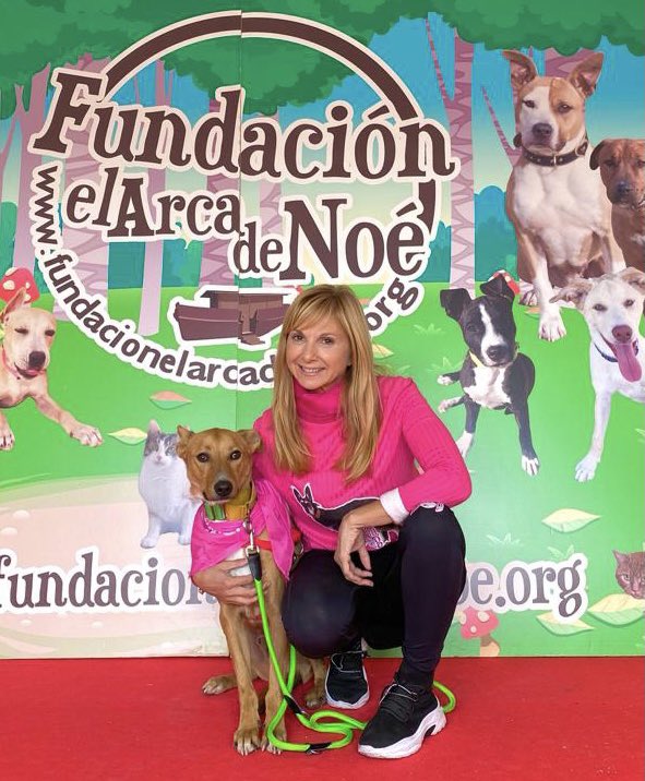 Fundación el Arca de Noé tweet media