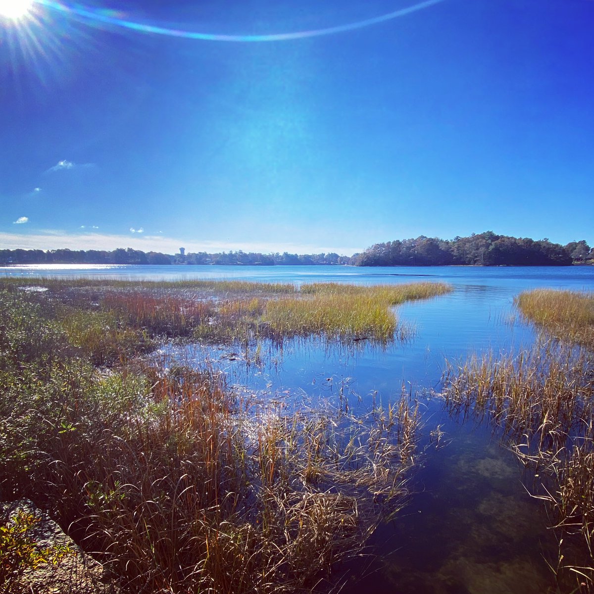 emilyross816's tweet photo. Time to say goodbye to this writing retreat in #BourneMa. So much fun hanging out with @NovelIncubator writer friends and their amazing novels. https://t.co/XDQ1Xfal9i