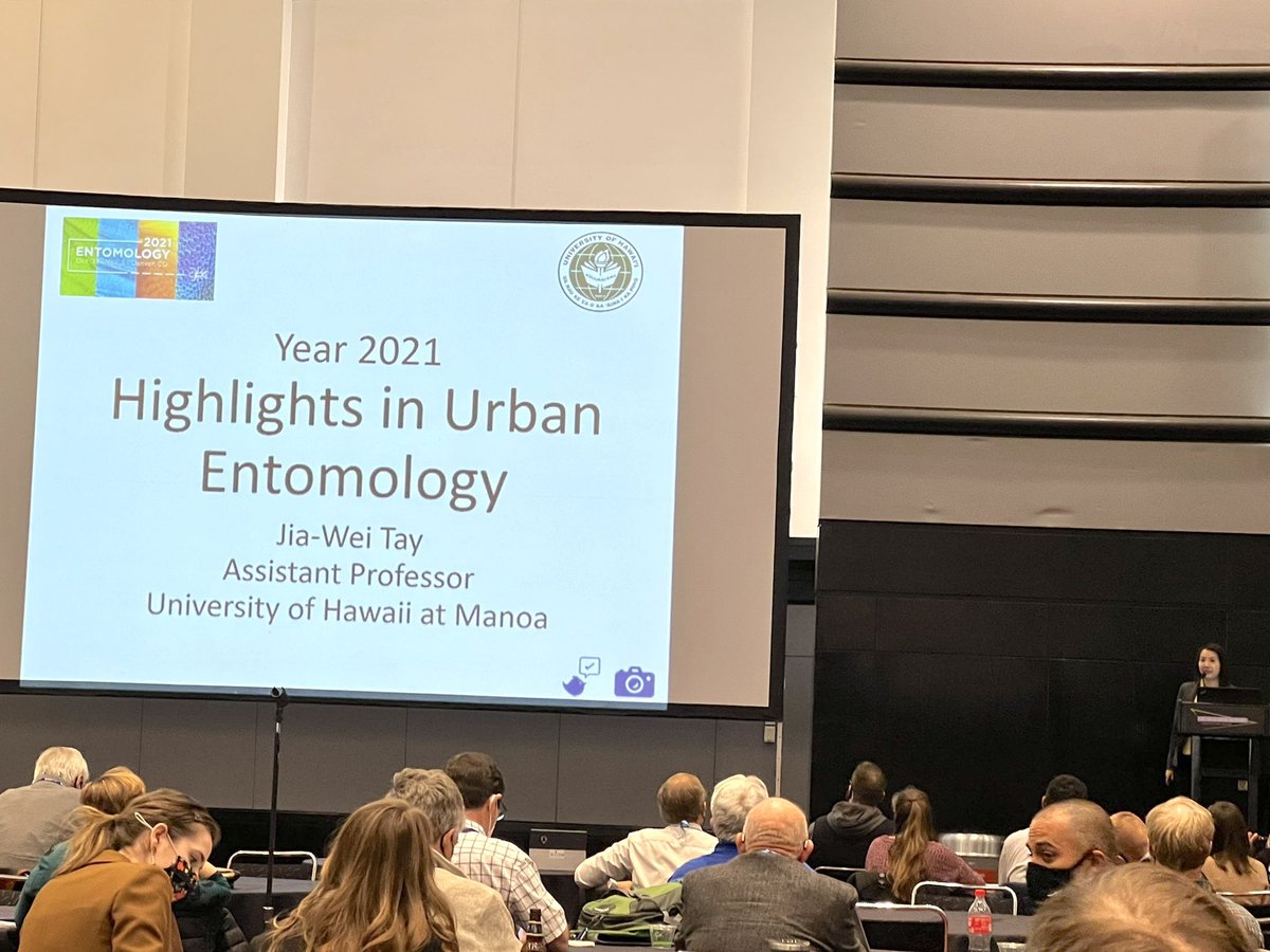 TayUrbanEntoLab's tweet photo. Now back to my office from #Entsoc21 Denver. I had a great time presenting the Highlights talk and reconnecting with friends! I apologize if your research papers weren’t being highlighted due to the time constraints in my 30-min presentation. https://t.co/CS5EcpFkgi