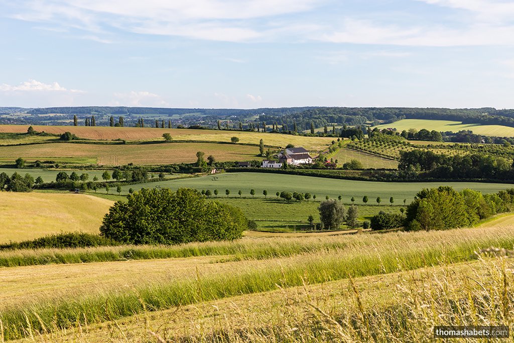 THPMHabets's tweet photo. Throwback to a #wonderful #golden 'Tuscan' landscape in #Eys, #Netherlands . This was one of my #bucketlist photos of 2021. For more, please visit https://t.co/iQojV6b2eP. #travel #limburg #canon #europe #nederland #wanderlust #travelblogger #landscape #dutch @magnifiekZL https://t.co/MLP31Gf2Op