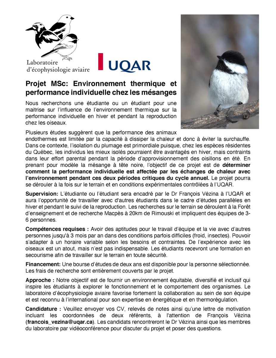VezinaLab's tweet photo. Notre laboratoire recherche une étudiante ou un étudiant à la maîtrise pour étudier l'effet de l'environnement thermique sur la performance individuelle chez les mésanges à Rimouski. Merci de partager l'annonce à toute personne susceptible d'être intéressée !
@VezinaLab @UQAR https://t.co/AXgvo8SKlB